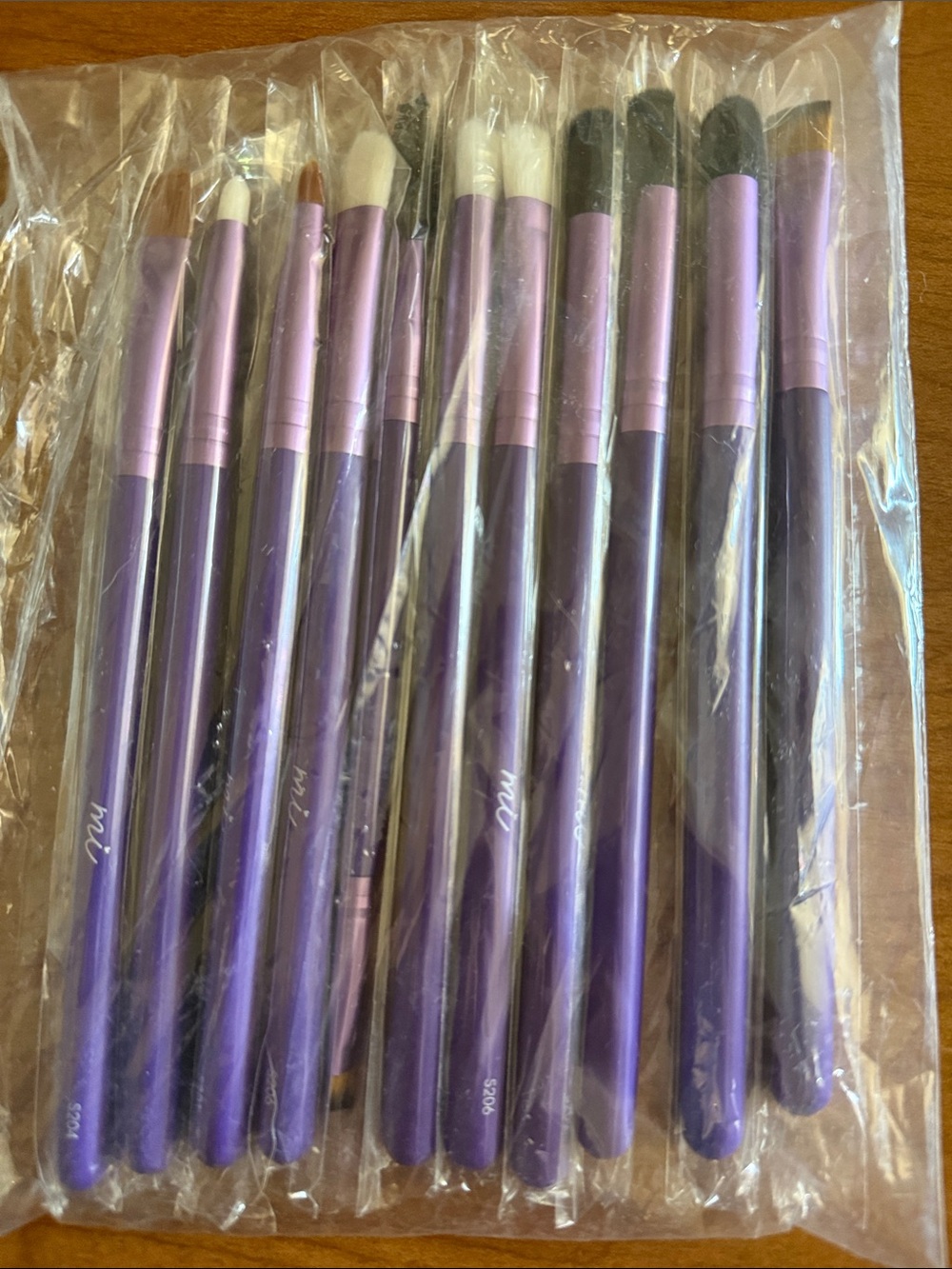 The Makeup Institute Los Angeles 11 Brush Set NEW